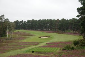 Swinley Forest 9th